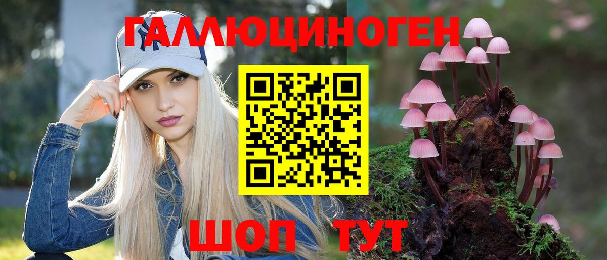 Псилоцибиновые грибы GOLDEN TEACHER  Вход с VPN  Торжок  Псилоцибиновые грибы Cubensis 